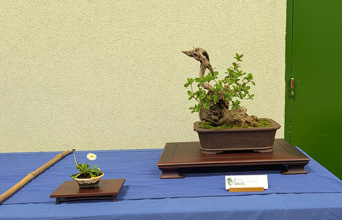 PXL_20260301_103333089