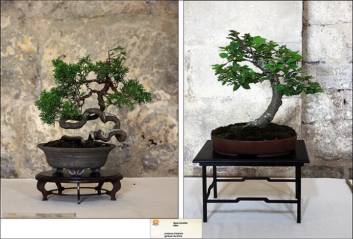 2025.05.24(montage14-15)1