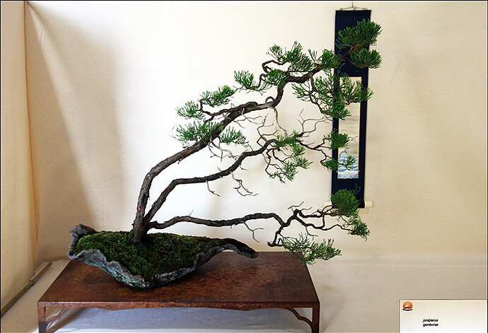 2025.05.24(54)copie1