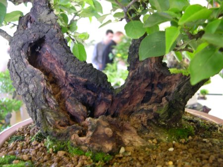 Dscn0306.jpg