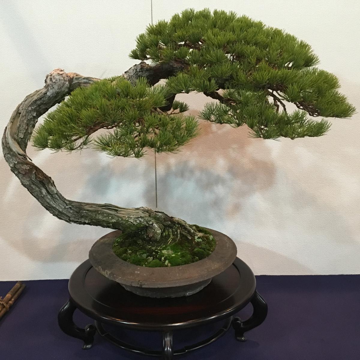 kokufu2019 002.jpeg