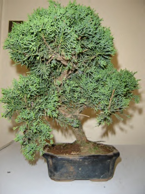 Image1.jpg