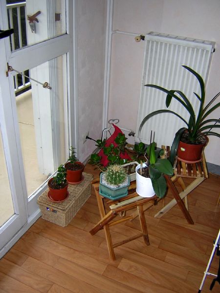 chambre.jpg
