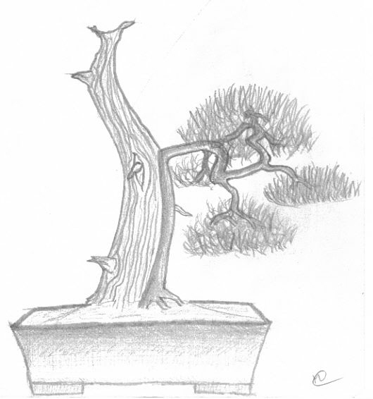 pin_griffiti.1.jpg
