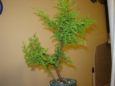 DSC01660_460x346.jpg