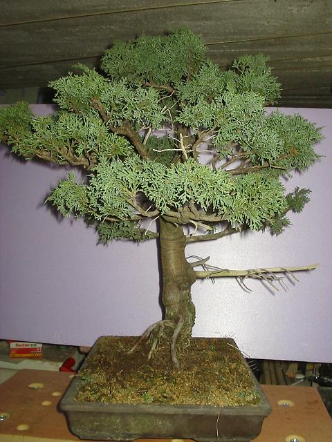 b06.jpg