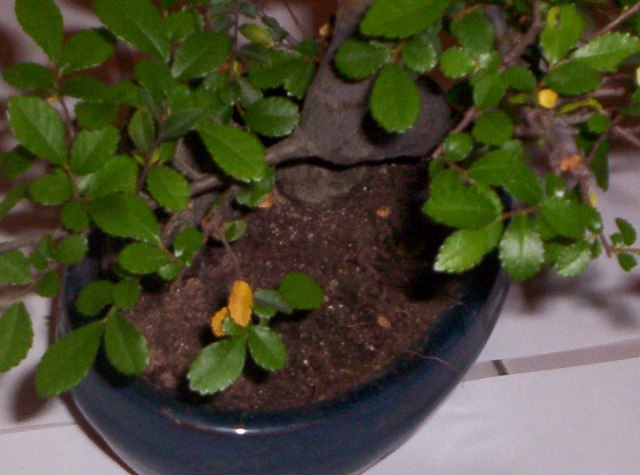 000_0070.jpg
