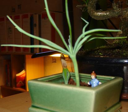 Photo_001.jpg