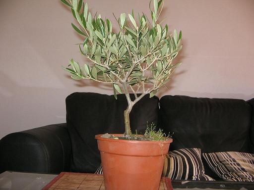 Photo_001.jpg