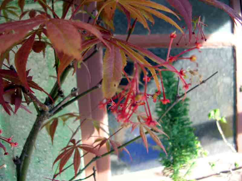 DSCN02891.jpg