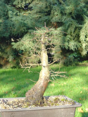 orme3.jpg