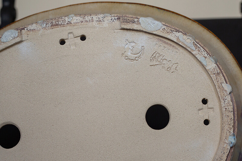 BS5A6871.jpg