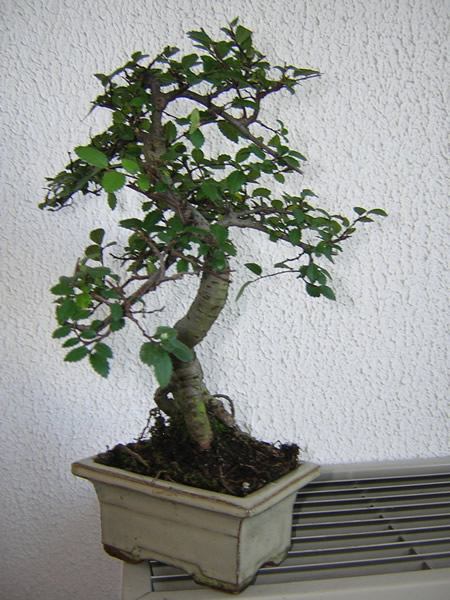 DSCN7661.jpg