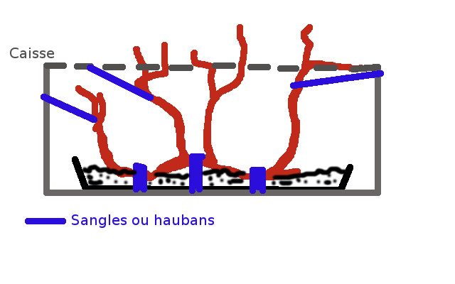 caisse-haubans1