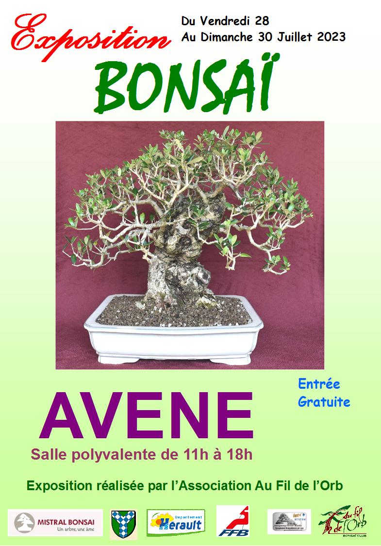 Exposition organisé par le club Au fil de l'Orb du 28 au 30/07/2023