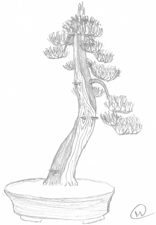 pin_griffiti_4.jpg