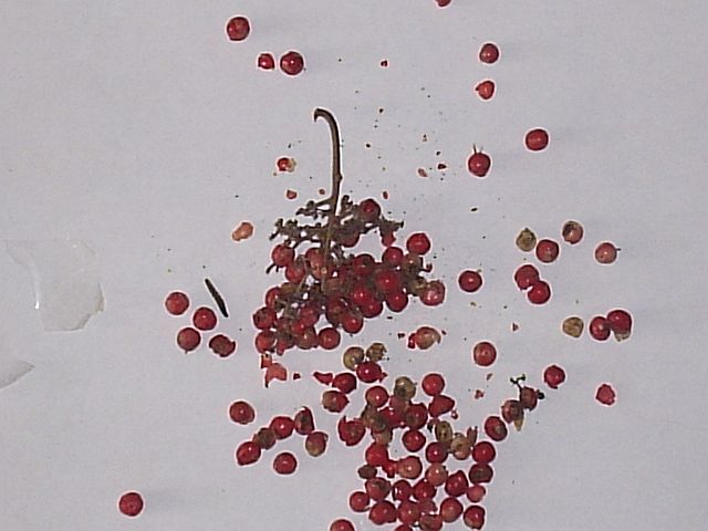 grain_31.jpg