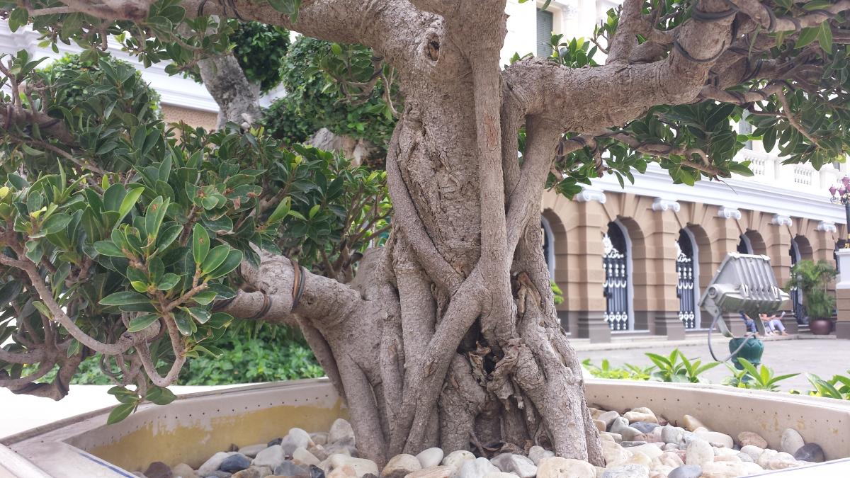 20190818_143419.jpg