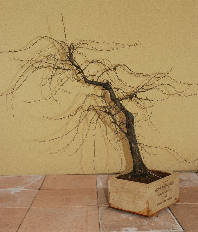 2006.03_f.Droite.jpg