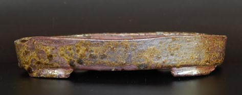 TANZAN A (1)