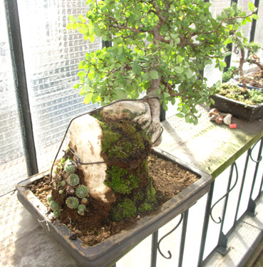 PICT0008.jpg