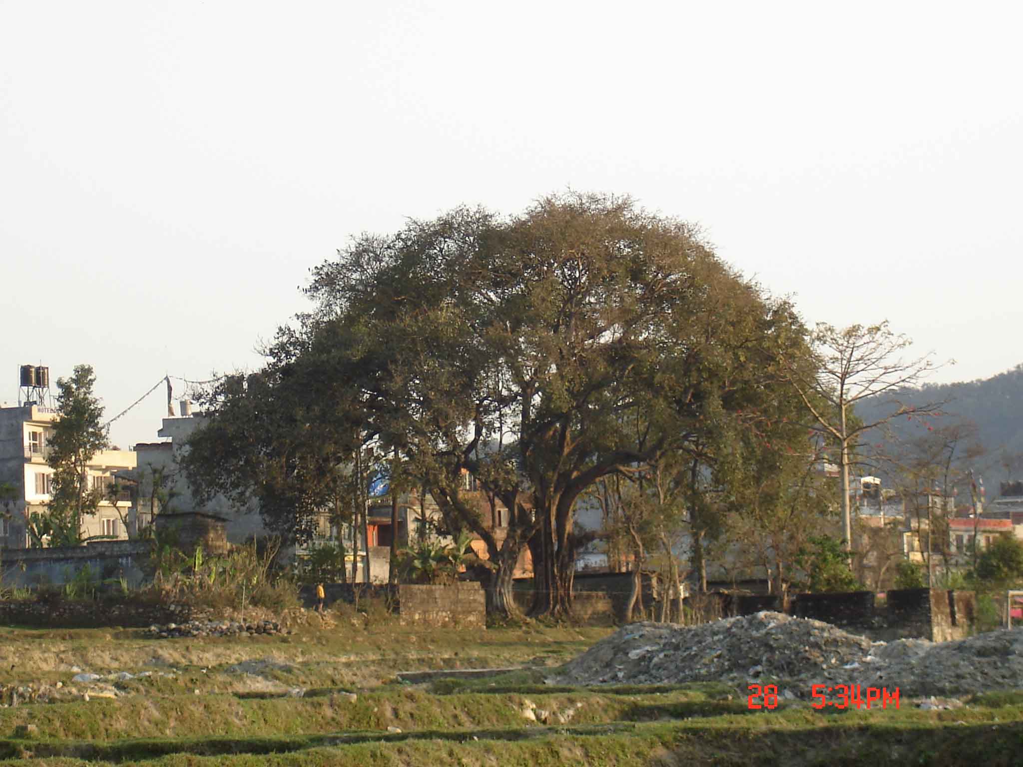 DSC00090.jpg