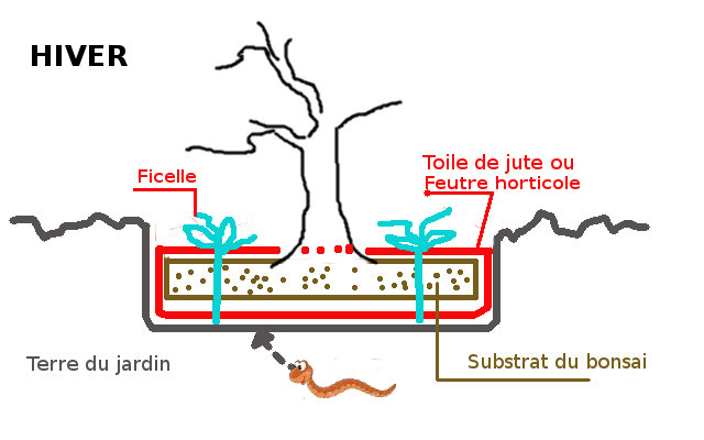 Hivernage_pleineterre3