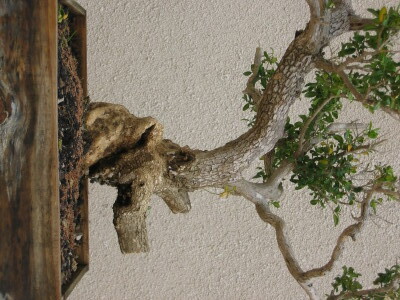 IMG_0765.jpg