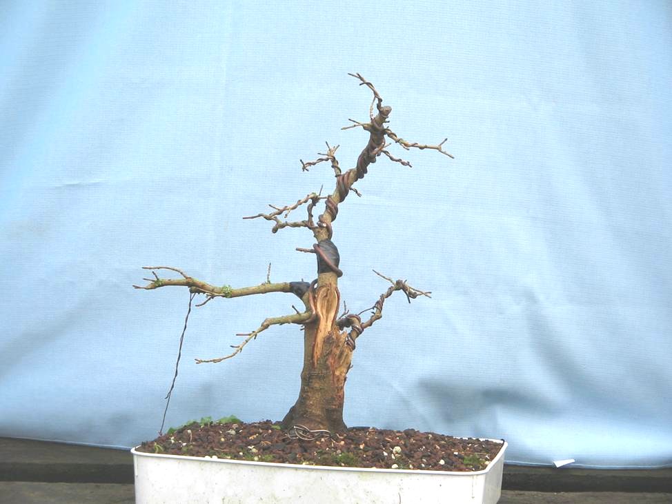 Picture9.jpg