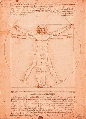 1002008-Léonard_de_Vinci_étude