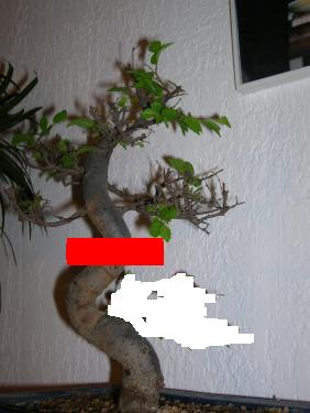 post_2819_1142838965_thumb.jpg