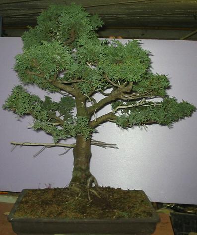 b02.jpg