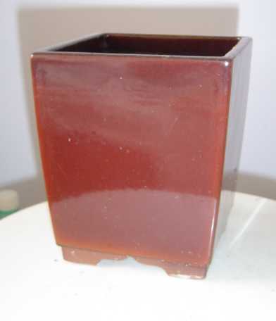 pin3.jpg