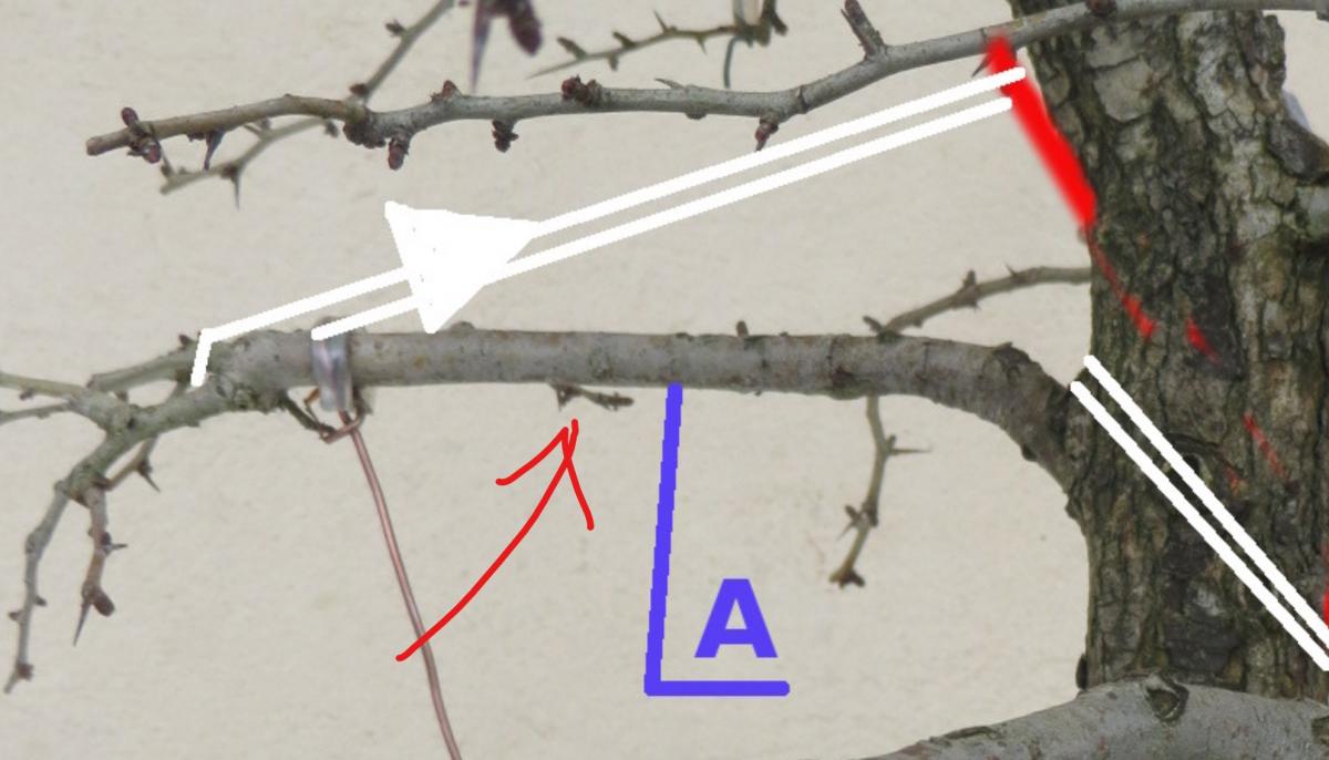 Annotation 2019-12-28 195747.jpg