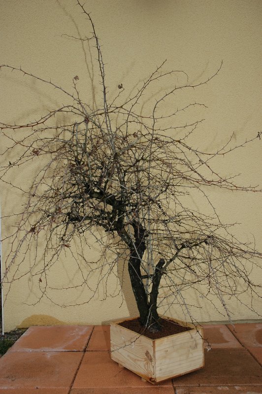 2006.03_a.Avant.jpg