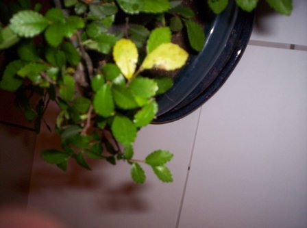 000_0066.jpg