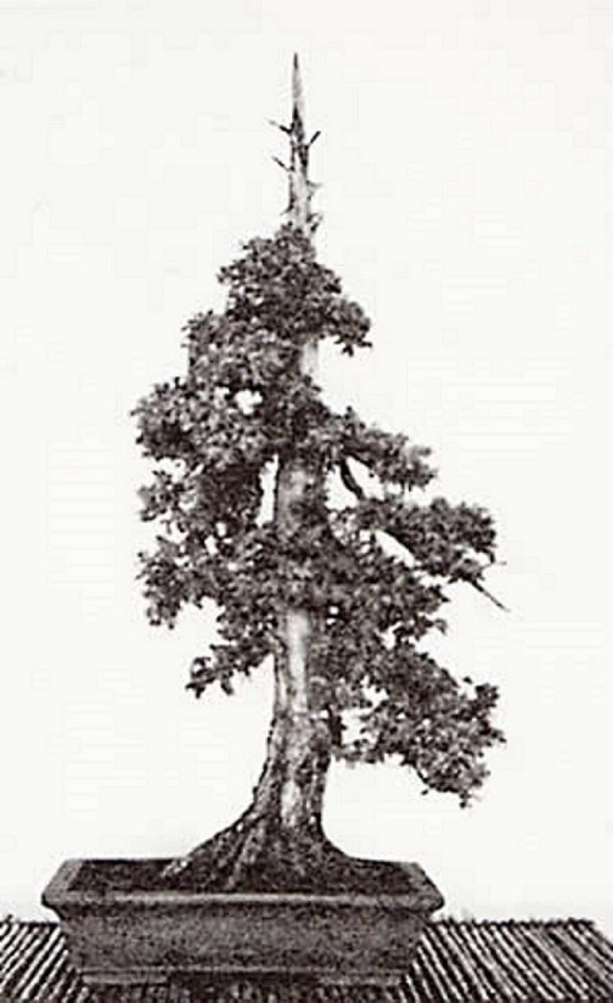 GOSHIN1960.jpg