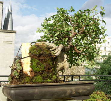 PICT0019.jpg
