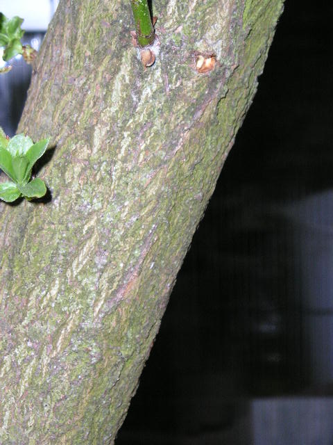 famille_07.2005_002.jpg