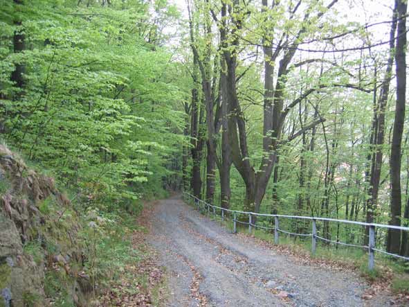 chemin.jpg