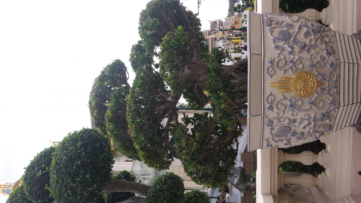 20190818_143335.jpg