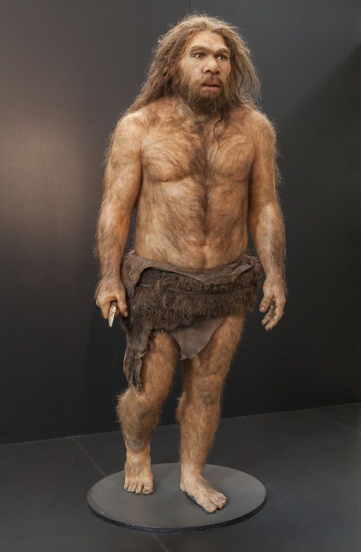 neandertal1.jpg