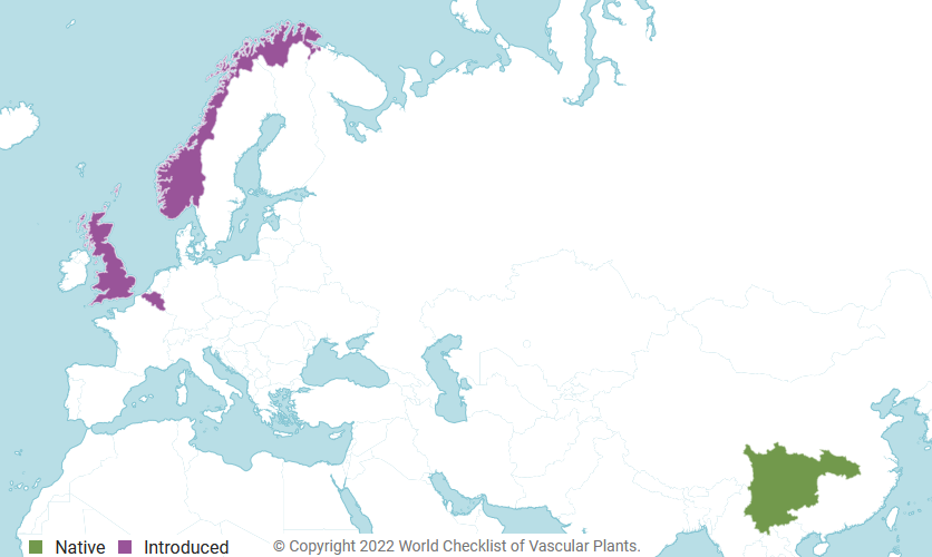 distribution.png