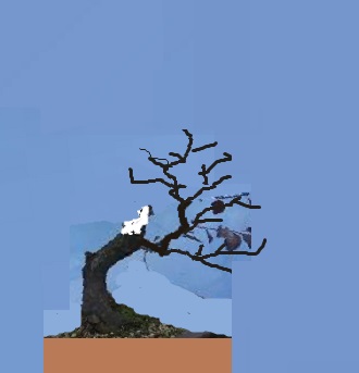 mini_prunus.jpg