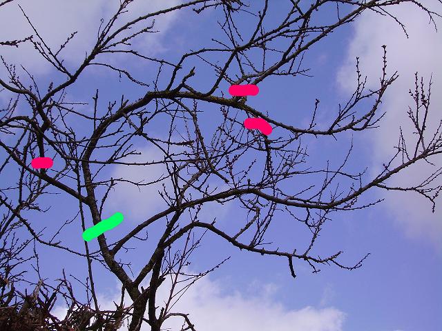 IMGP0104.jpg