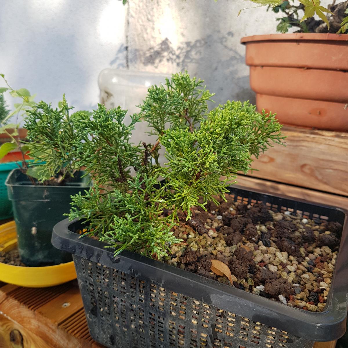 20200907_092404.jpg