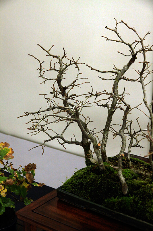 2019.10.26(16)copie1.jpg