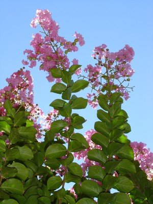 Dsc01790.jpg