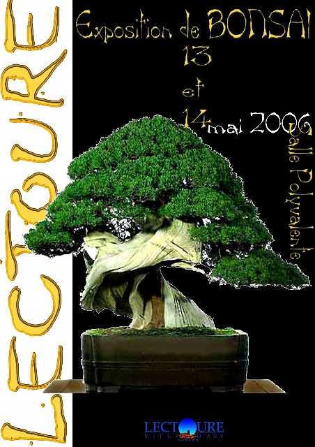 BONSAI_1_Aper_u_courrier_rapide.jpg