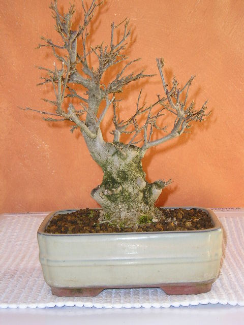 famille_07.2005_009.jpg